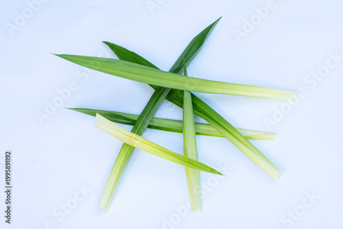 Pandan leaves (Pandanus amaryllifolius) on a white background. Pandan leaves are a basic cooking ingredient