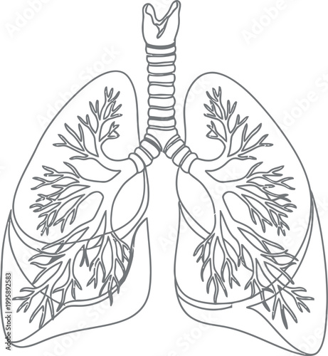 A simplified black and white illustration of human lungs, depicted as intricate tree branches, symbolizing the life-giving breath of nature and respiration.