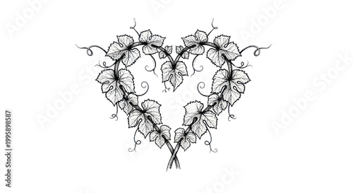 Heart-shaped grapevine wreath with delicate leaves and tendrils, black and white sketch