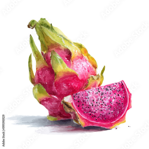 Fresh dragon fruit with sliced pink flesh on white background