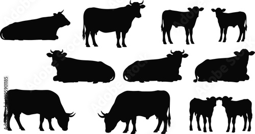 Cartoon illustrated cow and calf silhouettes collection featuring grazing standing lying poses creative farm animal artwork natural rural scene