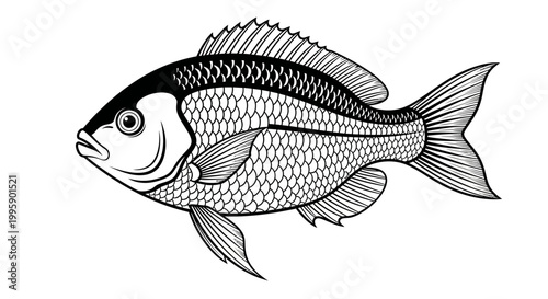 Black and White Fish Illustration, Aquatic Life, Seafood Icon, Vector Art