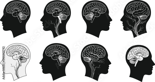 Cartoon illustrated human head silhouettes with brain anatomy nervous system creative educational medical science artwork detailed modern scene