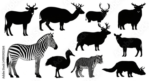 Collection of Diverse Animal Silhouettes and Illustrations.