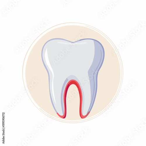 Illustration of a Healthy Tooth with Red Gums