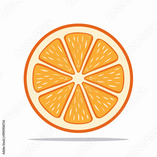 Illustration of a Fresh Orange Slice