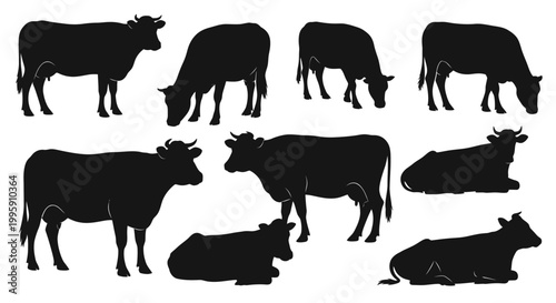 A collection of black silhouettes of cows in various poses, including standing and lying down, against a white background.