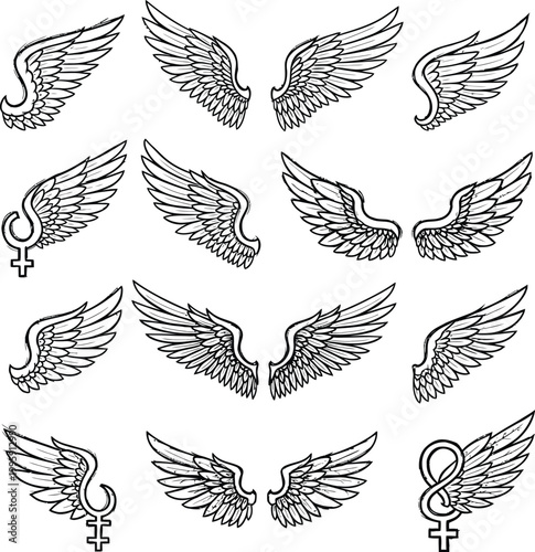 Angel wings vector set with female gender symbols with black and white