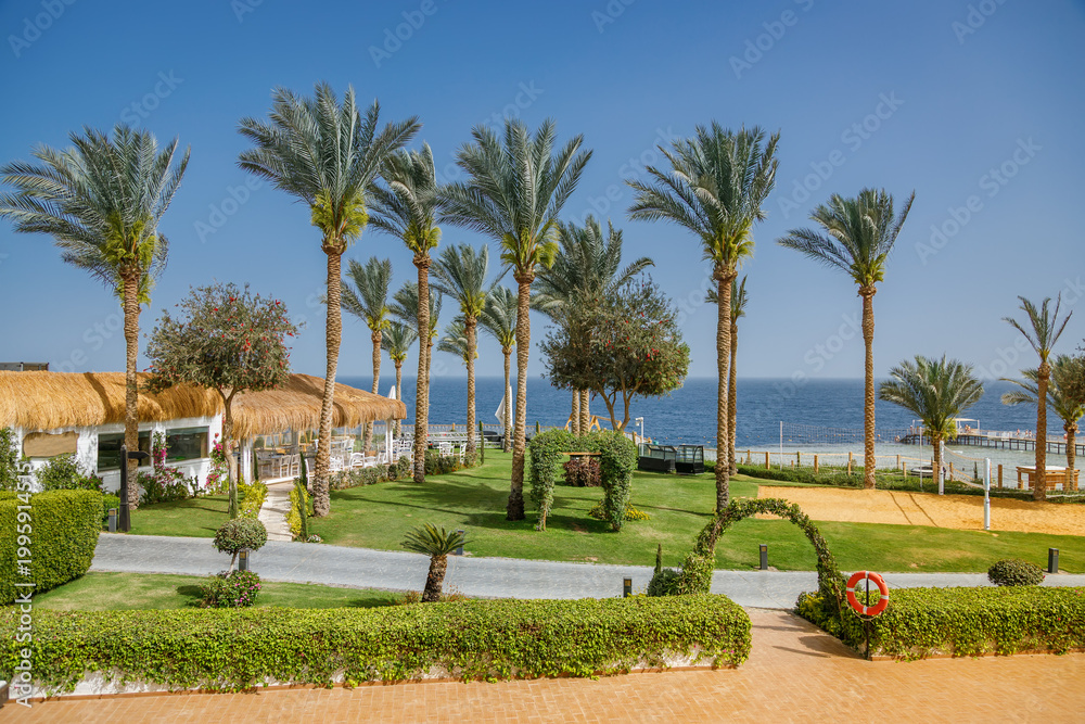 Obraz premium Beautiful hotel garden area with green lawn and tall palms near the sea coast, luxury summer vacation destination for relaxation and leisure under a clear sky