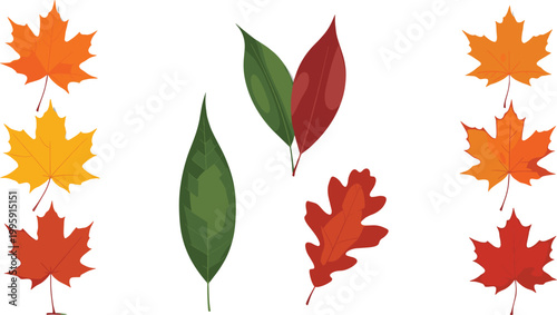 Autumn leaves vector set featuring maple, oak, and colorful fall foliage elements in flat design for seasonal decoration and nature themes