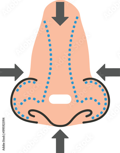 Medical Visualization of Nasal Anatomy: An illustration depicting the intricate internal structure of a human nose.