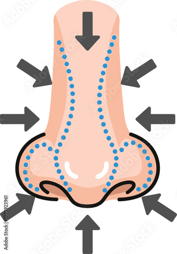 Reshaping the Profile: An illustration depicts a nose with dotted lines and arrows indicating the process of contouring and restructuring.