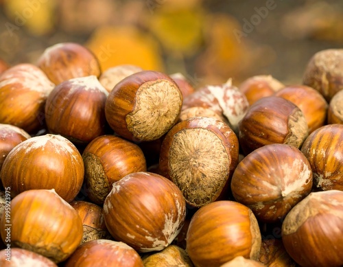 Pile of brown, shelled hazelnuts with textured surfaces, some revealing the nut. Autumn leaves blurred in background