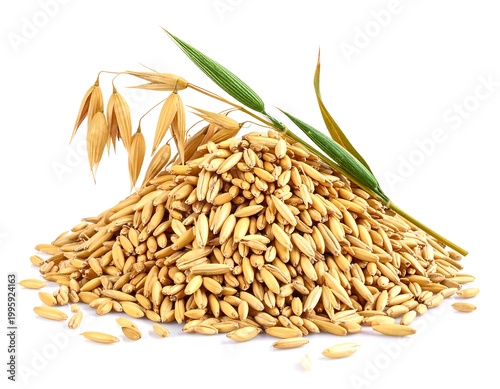 Pile of ripe, golden oats with stem & green leaves on a white backdrop, showcasing natural texture