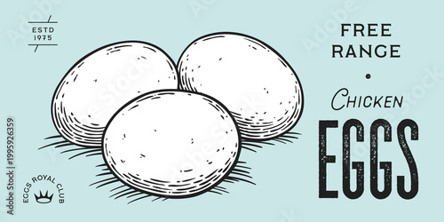 Chicken, hen with nest, eggs. Label, tag, chicken nest, eggs sketch ink pencil style drawing, engrave old school style. Sketch artwork silhouette chicken with nest, eggs. Vector Illustration