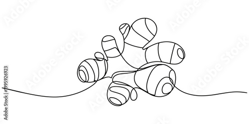 Ginger vector illustration. One line drawing art illustration organic ginger, Single one line drawing of healthy organic ginger for harvesting logo identity. Fresh flowering plant rhizome concept pro.