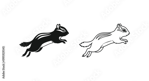 Skunk vs Weasel: Animal Silhouette Comparison Vector
