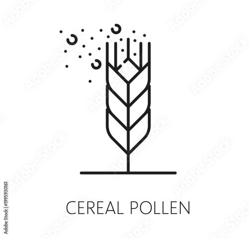Non food allergen free icon or allergy pictogram of cereal pollen or wheat grain, line vector. No contains cereal pollen allergen badge or product tag label for allergy intolerance food sticker