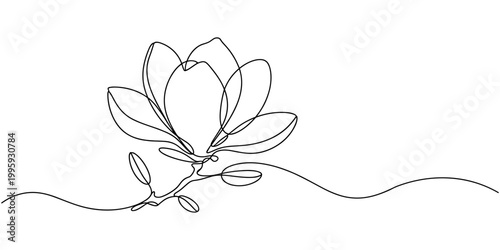 Magnolia flowers in one line art style. Continuous drawing can used for icon, wall art prints, posters, magazine, postcard, emblem, logo. Abstract Vector illustration
