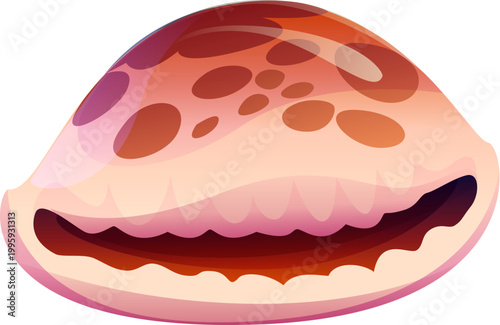 Ocean bottom cowrie cartoon seashell or mussel. Ocean life cartoon shell, underwater mollusk seashell. Tropical sea fauna conch