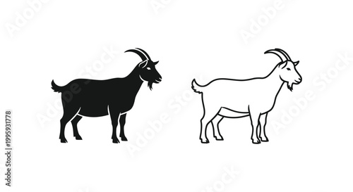 Goat vs Billy Goat Silhouette Comparison Guide Vector