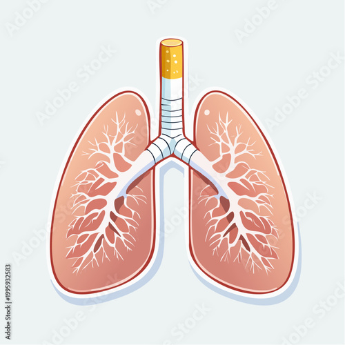 Smoking Damage to Lungs