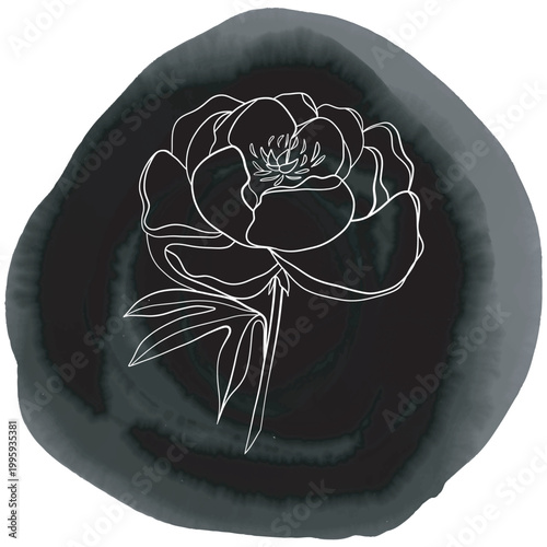 rose. hand - drawn vector.
