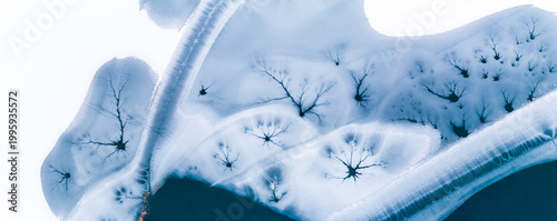 Landscape, tourism: Aerial view of frozen lake with ice patterns resembling trees, winter environment, Fusine lakes, Tarvisio, Friuli, Italy.