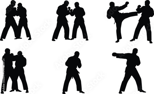 Martial arts silhouette series dynamic poses and combat forms