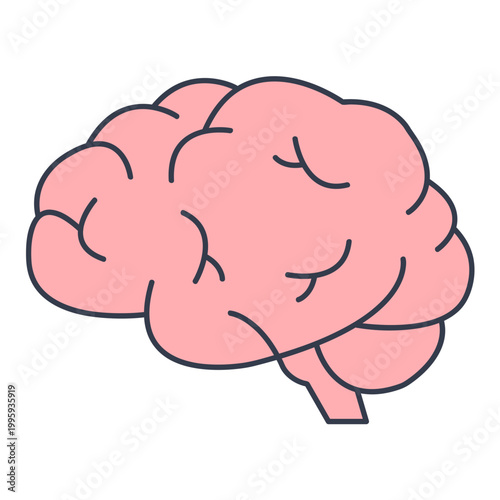 Illustration Of a Human Brain