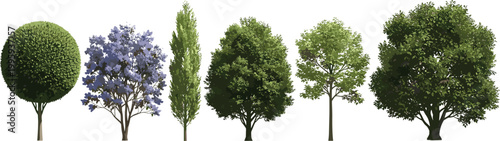 Realistic green trees collection with different shapes and species illustrating forest diversity, landscaping elements, garden design, and natural environment vector illustration set