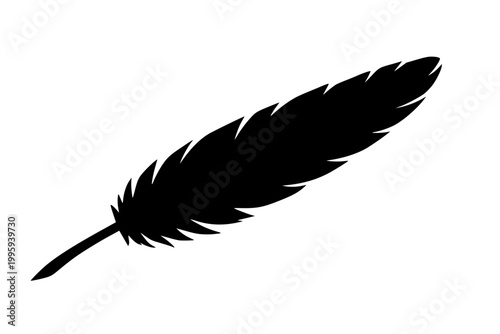 Ink Feather Illustration, Large black feather silhouette, rendered with bold ink strokes.