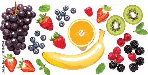 Fresh fruits collection with banana orange grape strawberry blueberry kiwi raspberry blackberry colorful healthy food vector illustration isolated on light background