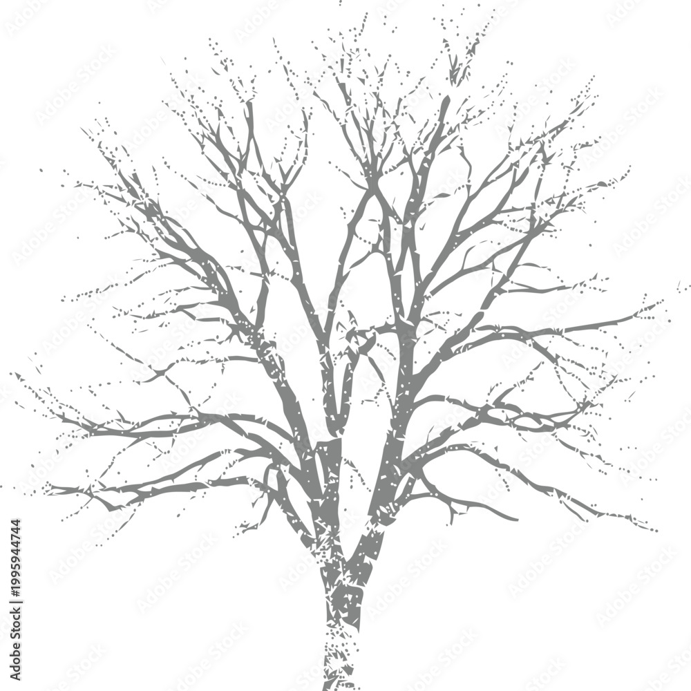 Fototapeta premium Detailed silhouette of bare winter tree with intricate branches isolated on white background for seasonal and environmental design projects