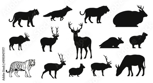 Collection of Diverse Animal Silhouettes and a Tiger Illustration.