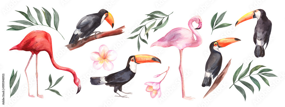 Fototapeta premium Set of Summer Watercolor illustrations Tropical birds and plants isolated on a white background. Toucans and pink Flamingos with plumeria flowers and palm leaves