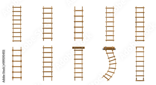 Diverse collection of wooden ladders in different styles and configurations including straight, rope, and curved designs on a white background.