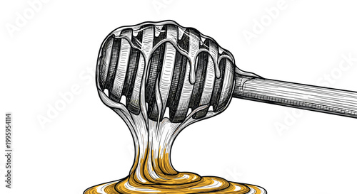 Close up detailed sketch of a wooden honey dipper dripping with thick golden honey against a white background for culinary and food art themes.