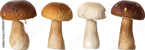 Mushroom set with different varieties realistic edible fungi collection forest food vector illustration isolated on light background