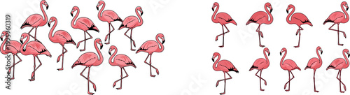 "Vector Illustration of Multiple Pink Flamingos in Various Poses for Wildlife, Animal Art, and Tropical Design"