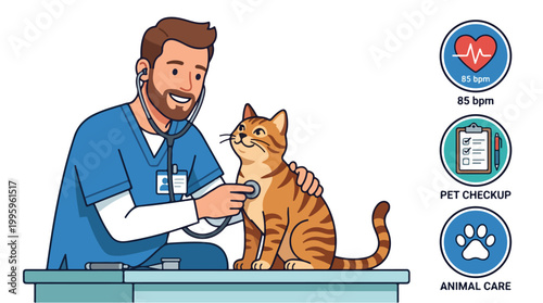 Veterinarian examining a cat with a stethoscope during a checkup.