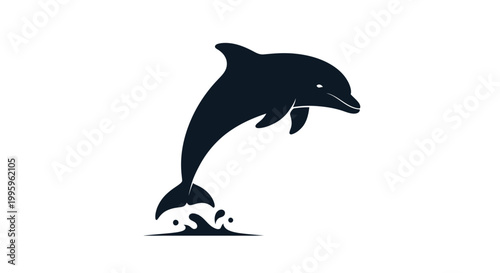 Black dolphin jumping out water.