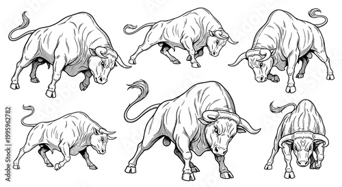 Collection of Six Aggressively Posed Charging Bulls in Dynamic Black and White Sketch Style