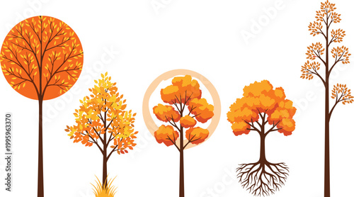 Autumn trees set with orange foliage, decorative shapes, and seasonal landscape elements illustrating fall nature, forest design, and botanical vector illustration collection