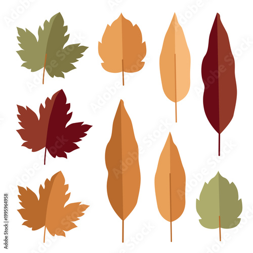 Hand-drawn autumn leafs illustrations, maple leaf, linden tree, alder, ash for packaging and fall vibes cozy projects