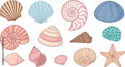 Seashells collection with starfish and sea urchin coastal marine elements pastel ocean nature vector illustration isolated on light background