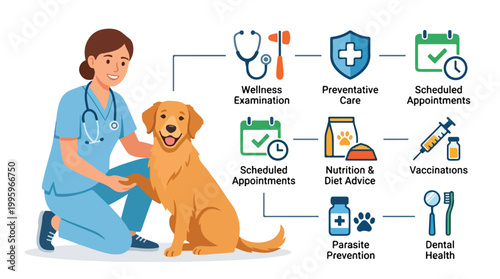 Veterinarian with Golden Retriever 2.