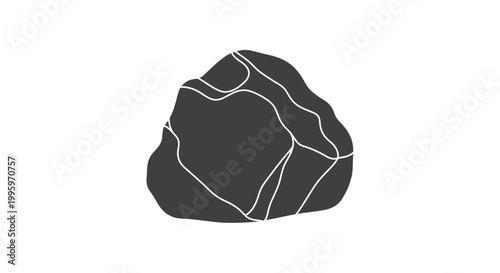 Black Rock with White Veins Closeup.