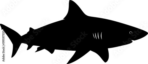Black silhouette shark swimming on flat vector isolated on white background