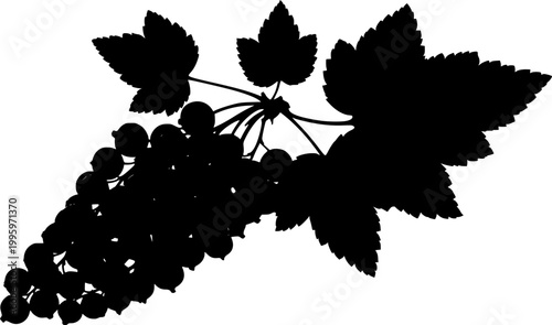 Black silhouette of a cluster of currants with leaves on a isolated on white background